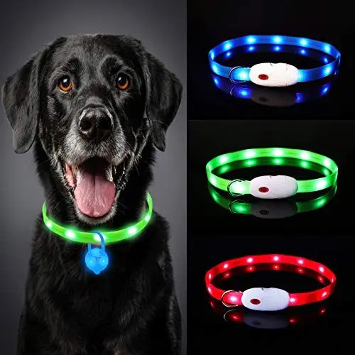 Produktbild: Oladwolf Leuchthalsband Hund Aufladbar, LED Hundehalsband Leuchtend wasserdicht Längenverstellbar USB, Haustier Sicherheit Kragen für Hunde und Katzen - 3 Leuchtmodi Grün