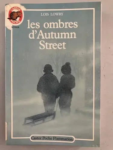 Produktbild: Ombres d'autumn street (Les)