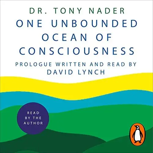 Produktbild: One Unbounded Ocean of Consciousness: Simple Answers to the Big Questions in Life