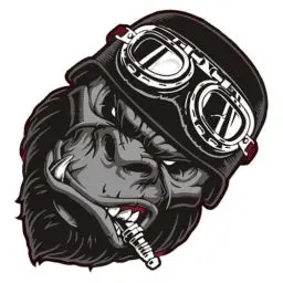Produktbild: Orang-Utan-Aufkleber,Lustiger Orang-Utan-Aufkleber,Brüllender Affe-Orang-Utan-Kopf-Auto-Aufkleber - Auto-Kofferraum-, Orang-Utan-, Auto-Autoaufkleber, Aufkleber für Wand und Fenster