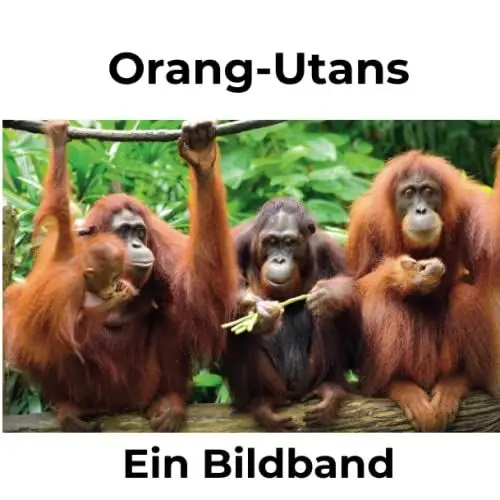 Produktbild: Orang-Utans: Ein Bildband