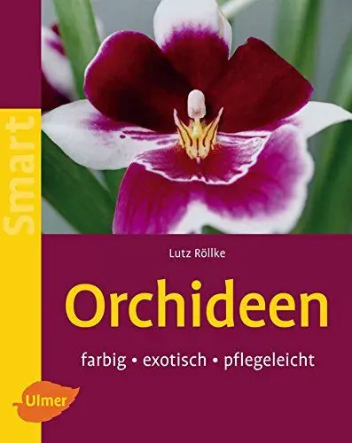 Produktbild: Orchideen: Farbig, exotisch, pflegeleicht