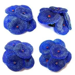 Produktbild: Ornamente für Aquarien, 4 Stück, Künstliche Korallen Ornament, Korallen, Unterwasser Pflanze für Fisch Tank Dekoration (Blau Korallen)