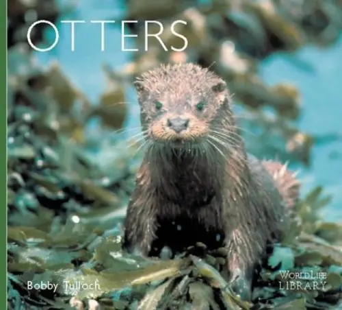 Produktbild: Otters (Worldlife Library)