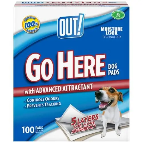 Produktbild: OUT! Go Here Ultra saugfähige Training Pads - 100 Stück