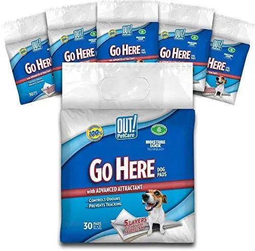 Produktbild: OUT! Go Here Ultra saugfähige Training Pads - 180 Stück