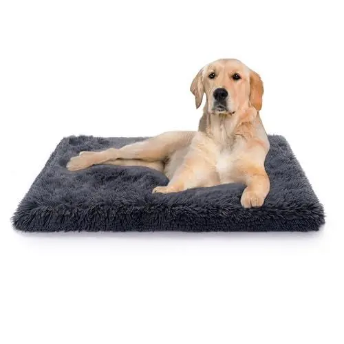 Produktbild: Paco Home Hundebett Katzenbett Flauschig Hundekissen Donut Hundedecke Hund Katze Hundekörbchen Katzenkorb Waschbar, Farbe:Anthrazit, Größe:60x100 cm