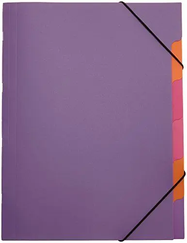 Produktbild: Pagna 41803-12 Ordnungsmappe, Funky School Trend PP, 5-teilig, lila