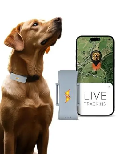 Produktbild: PAJ GPS Tracker für Hunde - 4G - Weglaufalarme + weltweite Live-Ortung - Akkusparmodus in Routernähe - Hunderückruf - mit Leucht-LEDs - Wasserdicht (IP67) - passt an jedes Halsband - grau