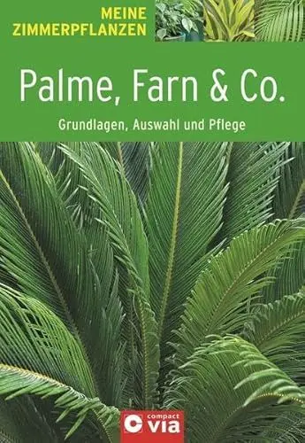Produktbild: Palme, Farn & Co. - Grundlagen, Auswahl und Pflege: Immergrüner Pflanzenzauber für die Wohnung (Meine Zimmerpflanzen)