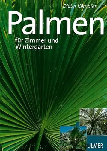 Produktbild: Palmen: Für Zimmer und Wintergarten