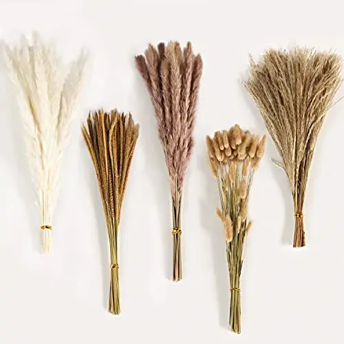 Produktbild: Pampasgras Trockenblumen Deko, 120 Stück Natürliche Braun Weiß Pampasgras Flauschige Wedel, Lagurus und Schilfblume Getrocknete Blumen für Boho Deko Wohnzimmer Schlafzimmer Gartenhaus Hochzeit