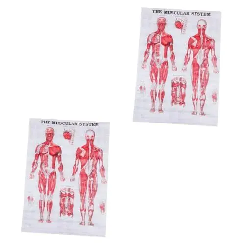 Produktbild: PartyKindom 2 Stück Menschliche Anatomie Augenanatomie Poster Lymphwandtafel Gesichtsanatomie Poster Muskelanatomietafel Antiker Bilderrahmen Skelettplakat Wandplakat Anatomielehrtafel Stoff