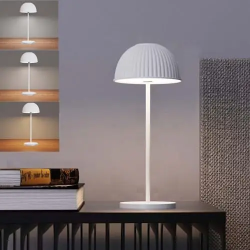 Produktbild: PASSHA LED Tischlampe Kabellos Akku Aufladbar, Tischleuchte Touch Dimmbare 3 Farbtemperatur Nachttischlampe, Wiederaufladbar Leselampe Schreibtischlampe für Nachttisch Esstisch Arbeitszimmer Bar