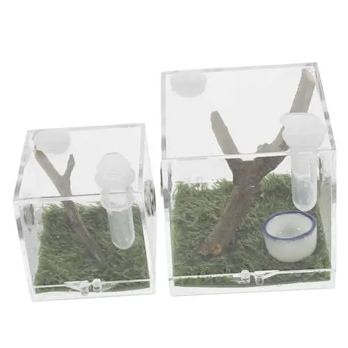 Produktbild: PATKAW 2 Stück Springspinne Mikro Großer Lebensraum Acryl Reptilien-Terrarium Kleine Haustier-Insekten-Aufzuchtbox Transparenter Reptilienkäfig Mini-Träger Für Amphibien-Futterbehälter