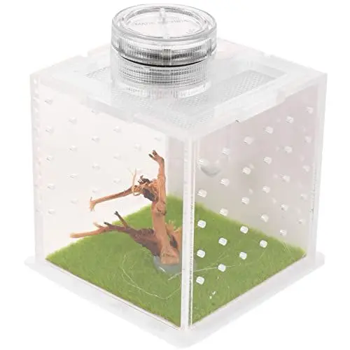 Produktbild: PATKAW Insekten Terrarium Für Schnecken Sprungspinnengehege Transparent Spinnenterrarium Acryl Reptilienzuchtbox Lebensraumkoffer Für Vogelspinne Gottesanbeterin Gecko Springspinne Set