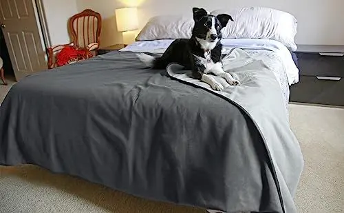 Produktbild: Pawsee Wasserdicht Hundedecke Katzendecken Waschbar, wasserdichte Decke für Hundesofa Schutzdecke Couch Überwurf, Flauschig Wasserabweisende Hundedecke für Große Hunde Katzen, M 150 x 120cm