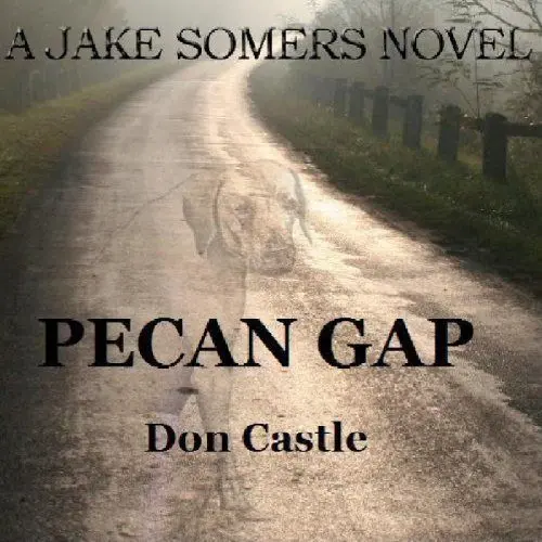 Produktbild: Pecan Gap: A Jake Somers Novel