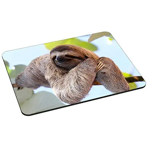 Produktbild: PEDEA Gaming und Office Mauspad - 220 x 180 mm - mit vernähten Rändern und rutschfester Unterseite, Chilling Sloth