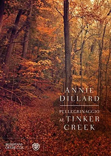 Produktbild: Pellegrinaggio al Tinker Creek (Overlook)