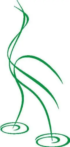 Produktbild: PEMA INDIGOS UG - Wandtattoo Wandsticker Wandaufkleber Aufkleber D317 Störche im Wasser 240x115 cm - grün