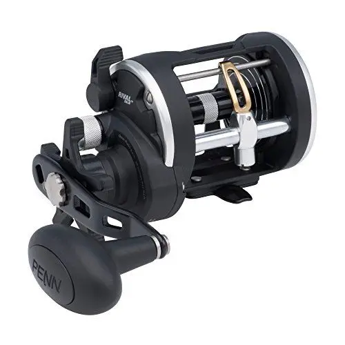 Produktbild: PENN Rival Level Wind Multirolle für Boote und Kajaks – Hochleistungs-Salzwasserrolle für Dorsch, Barsch, Plattfisch, Rochen, Glatthai, Seelachs, Schwarz/Silber