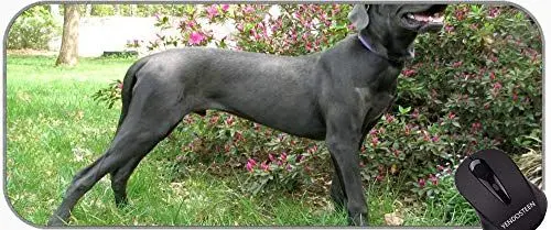 Produktbild: Personifiziert Ihr Gaming Mousepad, niedlicher lustiger Mops-Hund Great Dane Dog-Gaming-Mauspad mit genähten Kanten