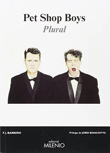Produktbild: Pet Shop Boys : plural (Música, Band 68)