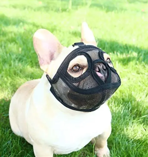 Produktbild: PETEMOO Maulkorb für Hunde mit abgeflachter Schnauze-verstellbar, atmungsaktiv: Englische Bulldogge, Französische Bulldogge, Pekingese, Shih-Tzu, Mops, auch für Katzen geeignet.