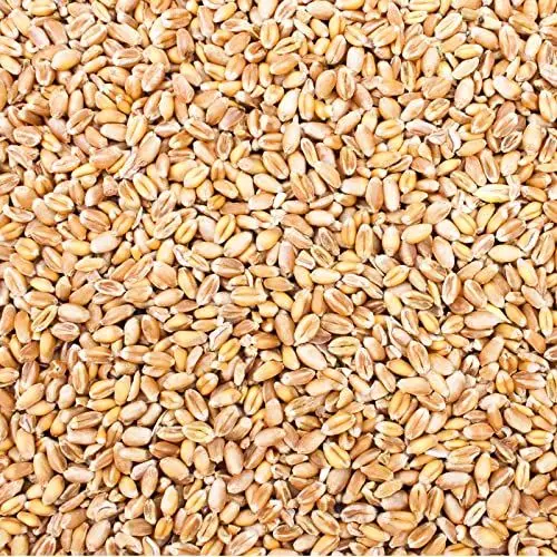 Produktbild: Petigi 30 Kg Weizen Hühnerfutter Hühner Huehner Futter Futterweizen Weizenfutter Weizenkorn Korn Getreide Geflügelfutter Sack Weizenkoerner Koerner Wildvögel
