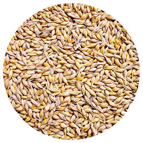 Produktbild: Petigi 5 Kg Gerste Hühnerfutter Hühner Huehner Futter Futtergerste Gerstenfutter Gerstenkorn Korn Getreide Geflügelfutter Sack Gerstenkoerner Koerner Wildvögel