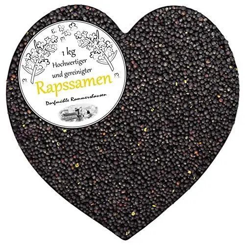 Produktbild: Petigi Raps Gereinigt Rapssamen 1 kg Therapie Rapssaat für Rapskissen Kissen Wärmekissen Kältekissen Samen Lose Rheuma Mikrowelle Wellness Rapsbad
