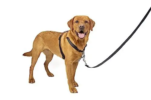 Produktbild: PetSafe 3-in-1-Geschirr und Rückhaltegurt für Hunde, Mit Anti-Zieh-Ring und Rückhaltegurt fürs Auto, Größe L, Schwarz