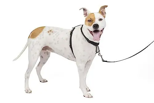 Produktbild: PetSafe 3-in-1 Geschirr, Hundegeschirr mit Rückhaltegurt, Reduziert Ziehen und Druck auf die Kehle, Größe M, Schwarz