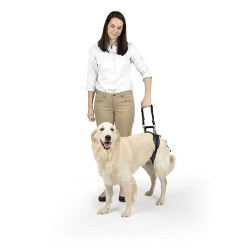 Produktbild: PetSafe CareLift Hüft-Hebegeschirr für Hunde, Hebehilfe mit Griff und Schultergurt zur Hüftunterstützung, Größe L