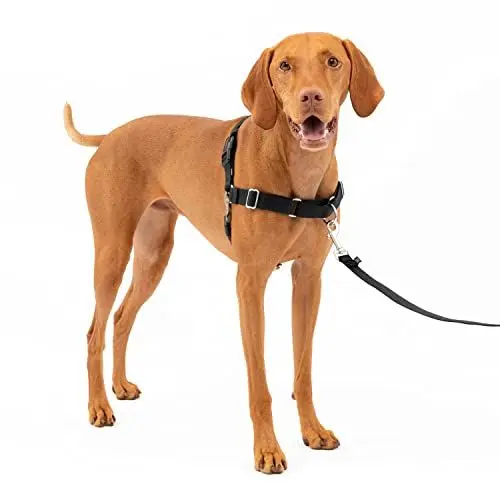 Produktbild: PetSafe Easy Walk-Geschirr, Anti-Zieh-Hundegeschirr, Verringert Würgen und Husten, Mit 1,8 M Leine, Größe M, Schwarz