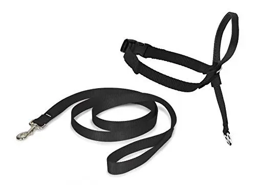 Produktbild: PetSafe Easy Walk Kopfhalfter, Aus widerstandsfähigem und weichem Nylon, Leichtes An- und Ausziehen, Größe L, Schwarz