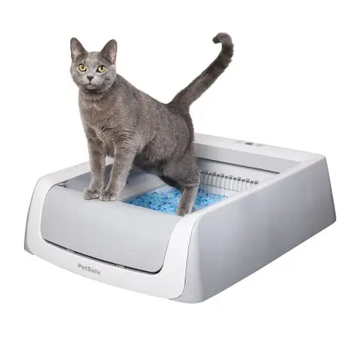 Produktbild: PetSafe - ScoopFree Selbstreinigende Katzentoilette, Zweite Generation - Automatischer Rechen, Optimale Geruchskontrolle, Gesundheitsmonitor