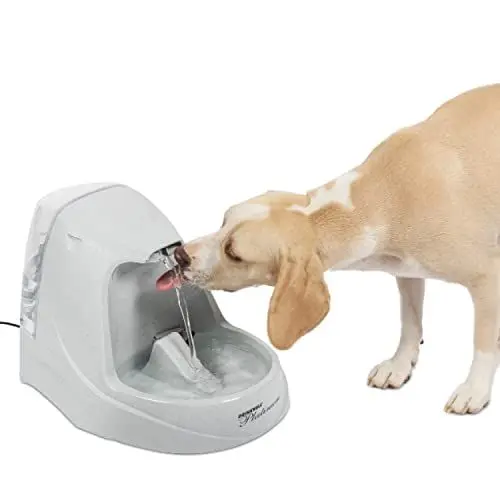 Produktbild: PetSafe Drinkwell Trinkbrunnen Platin, Filtert Wasser für Hunde und Katzen, BPA-freier Kunststoff, 5 L Fassungsvermögen, 1 Stück (1er Pack)