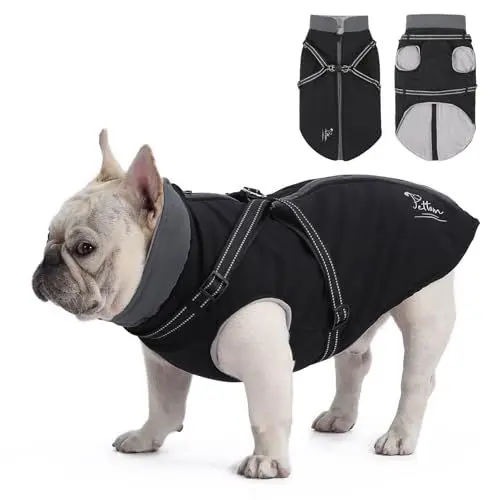 Produktbild: PETTOM Hundemantel Wasserdicht, Hundejacke Kleine Hunde, Hundemantel Winter Warm und Winddicht, Wintermantel Hund Fleece mit Geschirr (Schwarz, M)