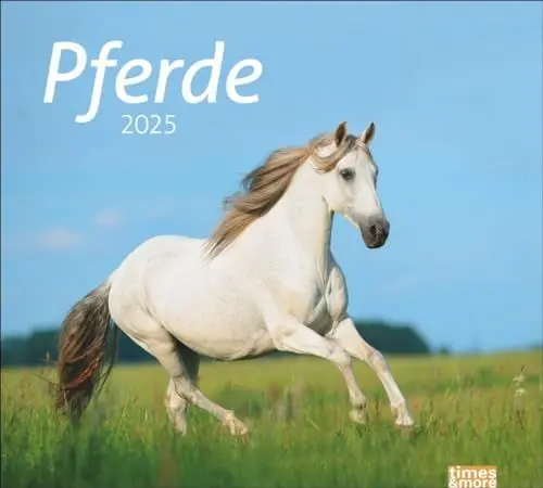 Produktbild: Pferde Bildkalender 2025: times&more Tierkalender für Pferdefreunde. Kalender mit spektakulären Fotos edler Pferde. Wand-Kalender 2025. (times&more Kalender Heye)