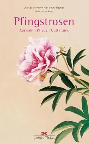 Produktbild: Pfingstrosen: Auswahl • Pflege • Gestaltung