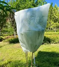Produktbild: Pflanzen Winterschutz Frostschutz for Kübelpflanzen: 70g/m² B120 x H180 cm überwinterungszelt Pflanzenschutz mit Reißverschluss für Olivenbaum Palmen Reißfest Atmungsaktiv Waschbar UV Stabil Beige