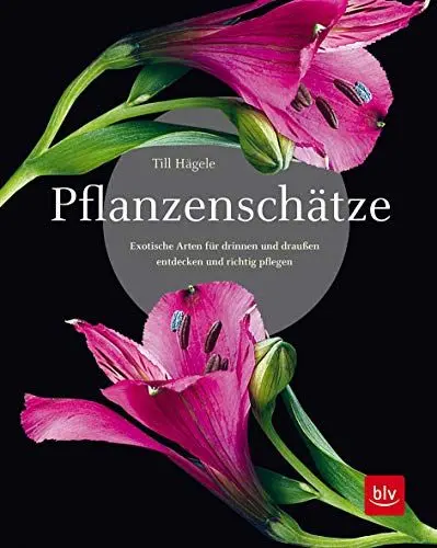 Produktbild: Pflanzenschätze: Exotische Arten für drinnen und draußen entdecken und richtig pflegen (BLV Pflanzenpraxis)