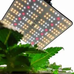 Produktbild: Pflanzenlampe LED Vollspektrum 120W dimmbar – Flexstar Grow Lampe für Indoor Pflanzen, Anzucht, Wachstum & Blüte – Effizientes Pflanzlicht für Zimmerpflanzen, Kräuter & Gemüse
