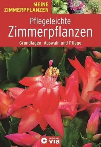Produktbild: Pflegeleichte Zimmerpflanzen - Grundlagen, Auswahl und Pflege: Unkomplizierter Pflanzenzauber für die Wohnung (Meine Zimmerpflanzen)