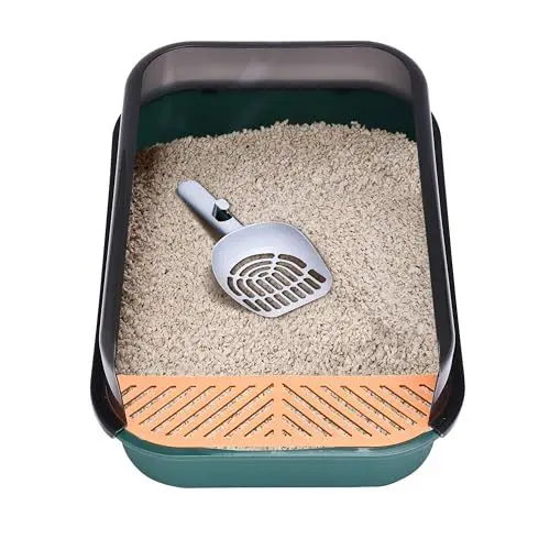 Produktbild: Pfotenolymp Katzentoilette - offenes Design - Klumpstreu-Katzentoilette mit auslaufsicherem Design und verlängerter Trittfläche - Cat Litter Box Geeignet für Katzen bis 3,6 kg - Dunkelgrün