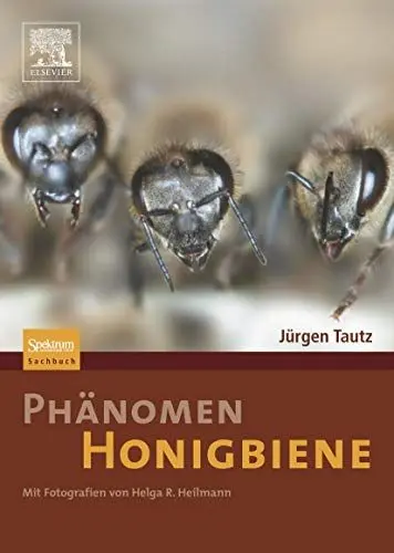 Produktbild: Phänomen Honigbiene
