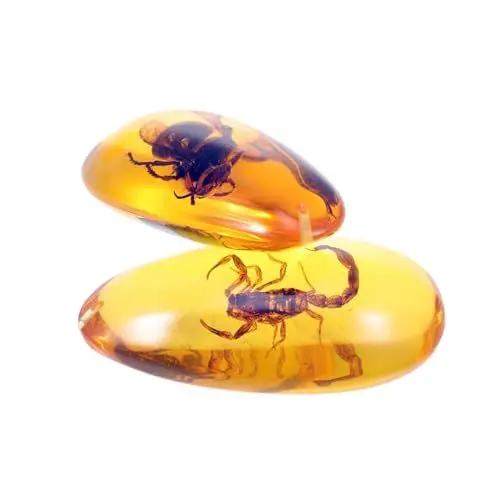 Produktbild: PHENOFICE 10 Stück Bernstein Insektenstein Bernstein Halskette Einzigartige DIY Bernstein Anhänger Dekor Armband Charms Probe Bernstein Anhänger Bezaubernde Exemplare Bernstein