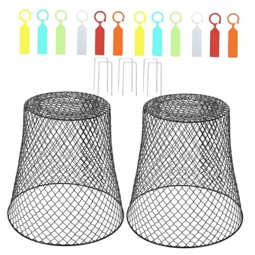Produktbild: PHENOFICE 2 Sätze Pflanzenschutzkäfig Pflanzenglocke Cloche Aus Drahtgeflecht Cloche Aus Hühnerdraht Gartenglocken Für Pflanzen Pflanzenschutzmittel Von Tieren Pflanzenkäfig Black Eisen
